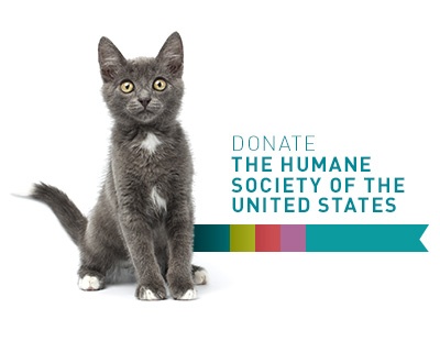 BDN_HumaneSociety_400x320.jpg BDN_HumaneSociety_400x320.jpg